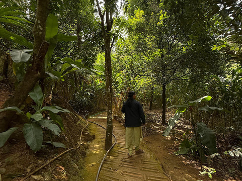 Kochi Taxi 24X7-柯钦必去景点
