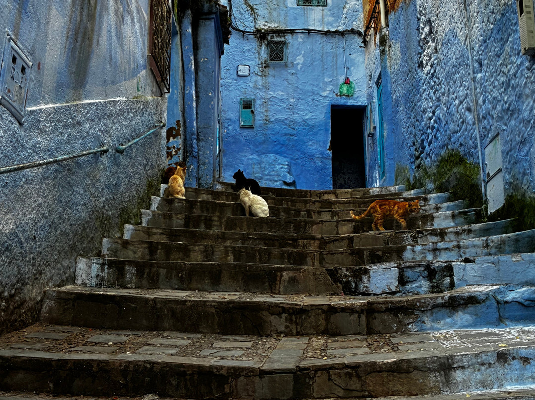 Conocer Marruecos-马拉喀什必去景点