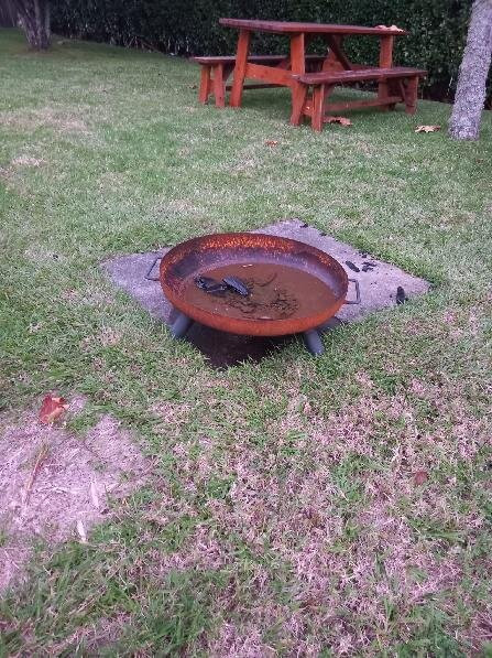 富尔纳斯精品 - 奥克坦富尔纳斯主图