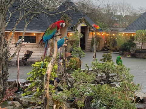 Nanny Sharon's Alpaca Farm C.I.C-Prenton必去景点