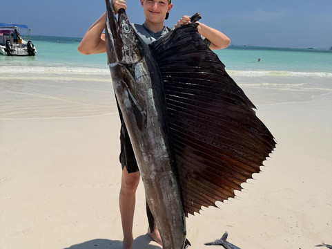 Bedier & Sons Excursions-安斯艾尔伯特必去景点