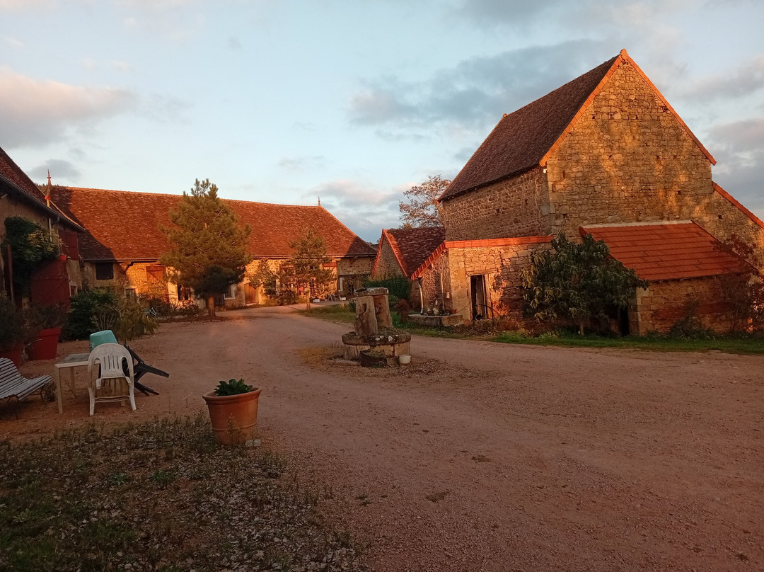 Domaine de la Foret主图