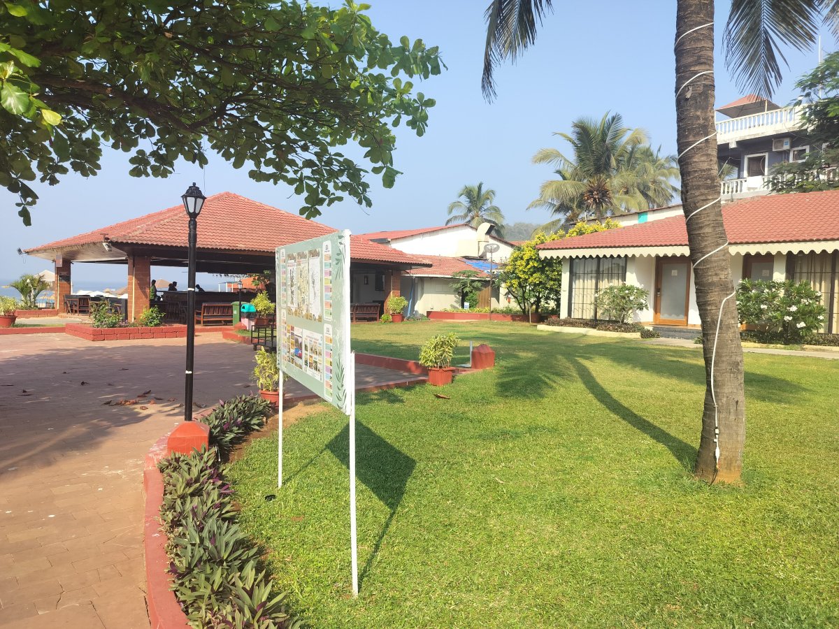 La Calypso Hotels-官方