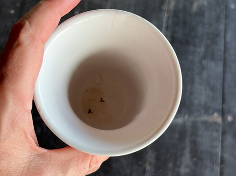 Chauve Souris Relais主图