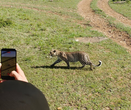 Destinex Travels-内罗毕必去景点