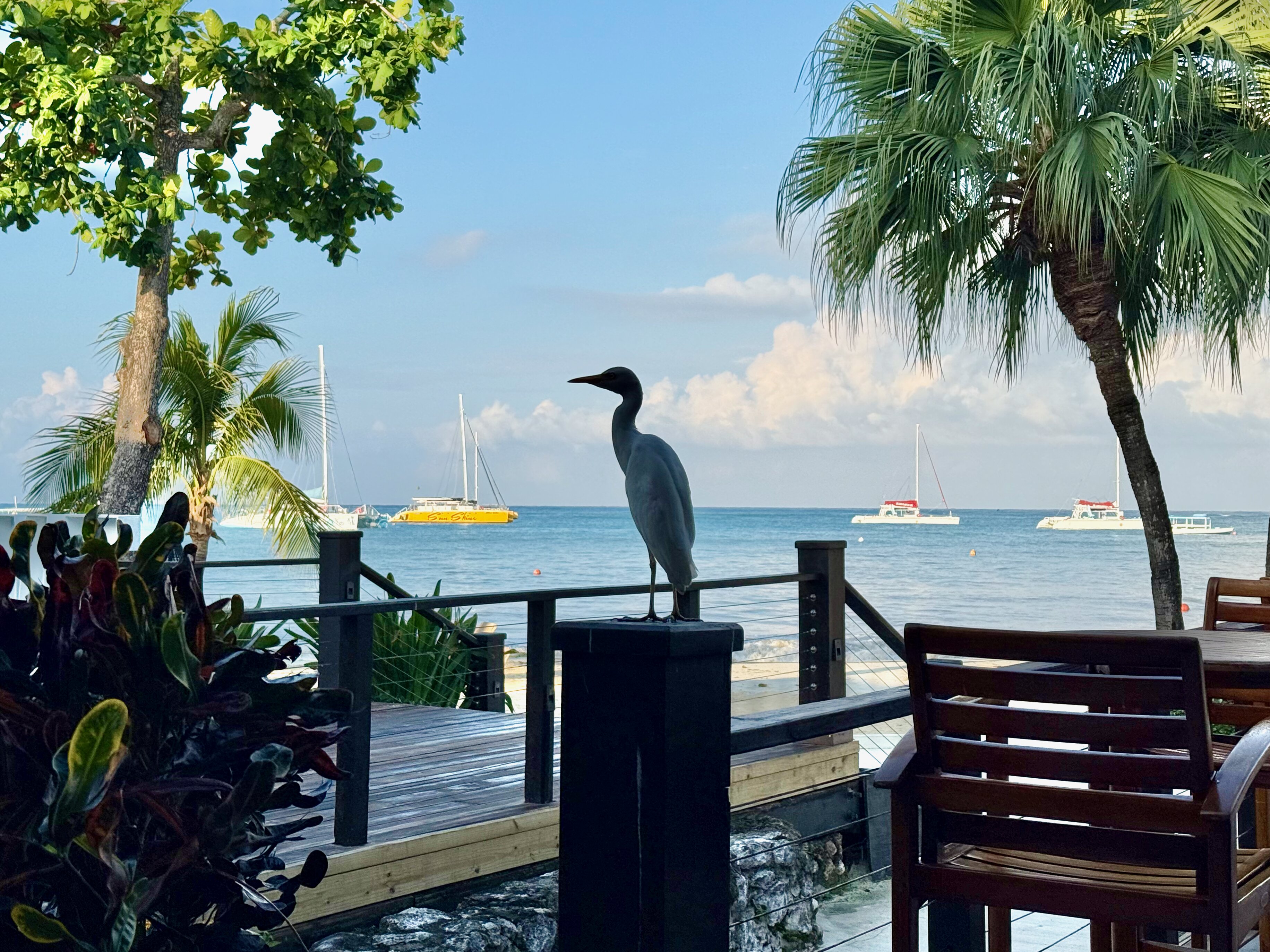 桑德尔内格里尔酒店 - 全包式 - 仅供夫妻情侣入住-泳池