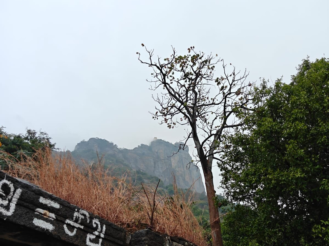 Parvathamalai Hills-Tiruvannamalai必去景点