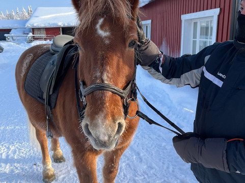 Off-Piste Adventures-Kemijarvi必去景点