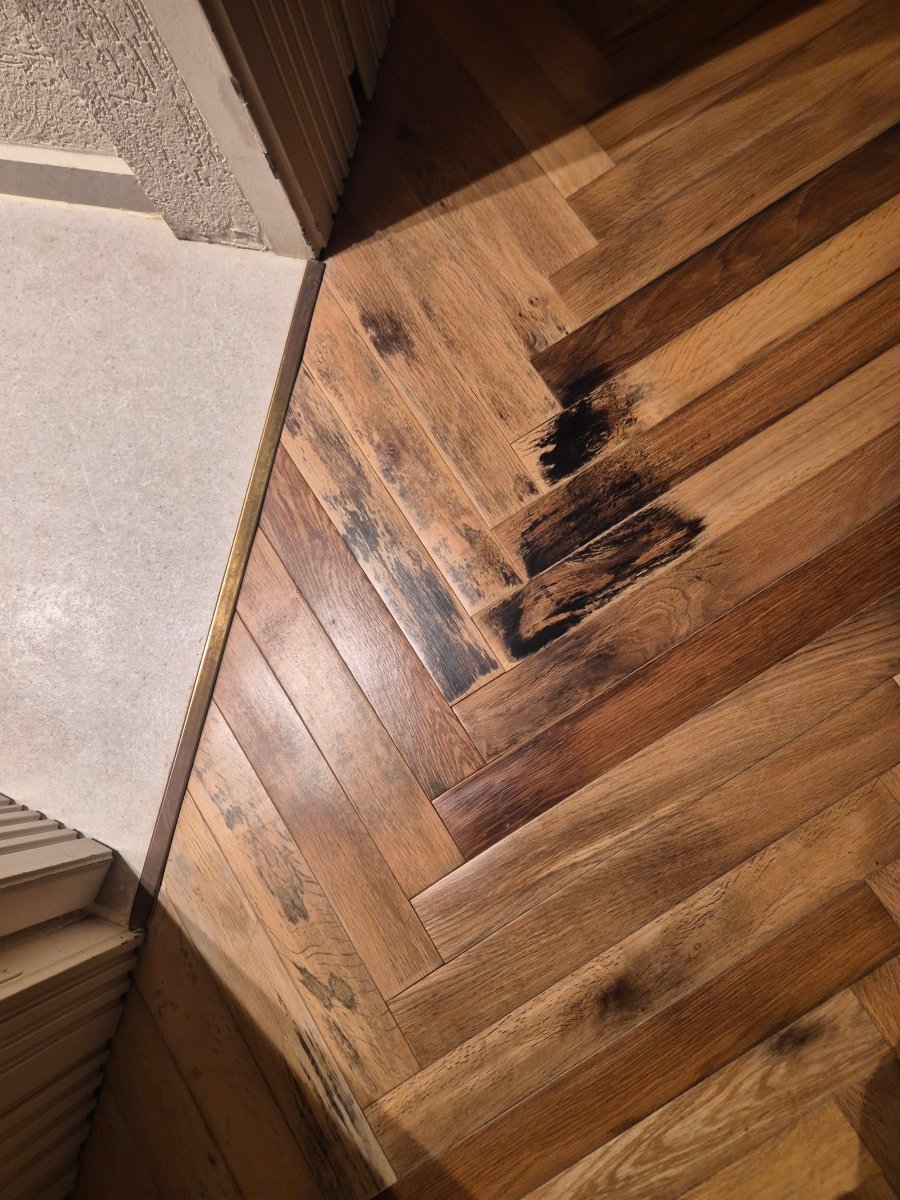 高多尼亚酒店-官方