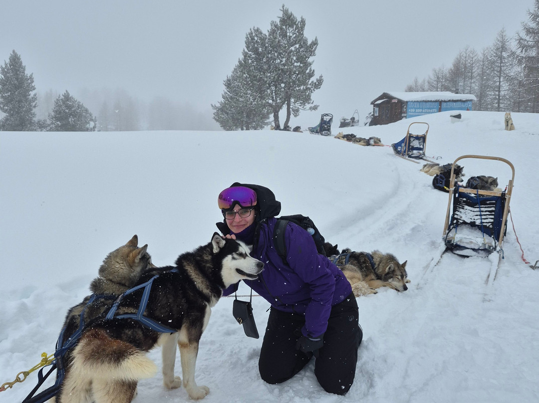 The Husky Experience Sestriere-Sestriere必去景点