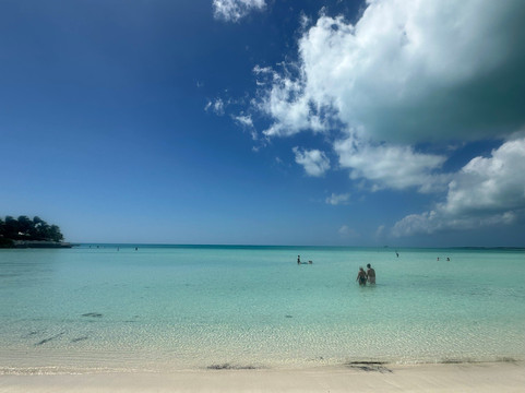 Taylor Bay Beach-普罗维登西亚莱斯必去景点