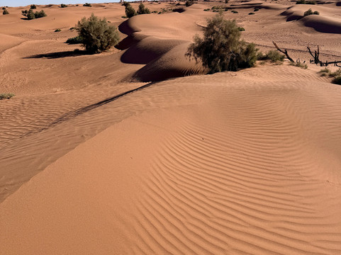 Chegaga spirit-迈哈米德必去景点