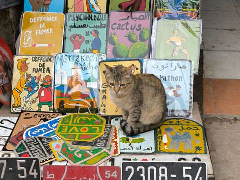 Maroccotour-Hassilabied必去景点