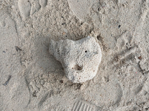 Kala Pathar Beach-哈夫洛克岛必去景点