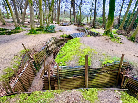 阿尔比恩酒店主图