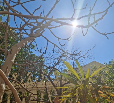 Hammam Anti Stress-苏塞必去景点