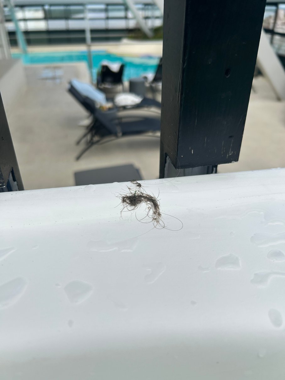 罗斯大厦酒店-官方