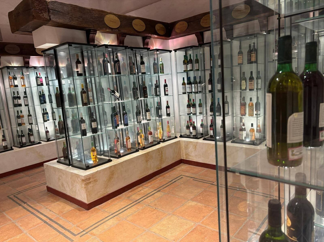 Museo del Vino-Valdepenas必去景点