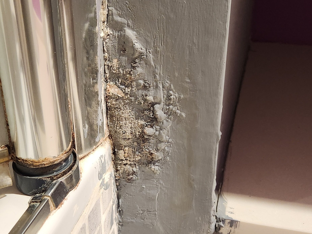 欧罗巴酒店主图