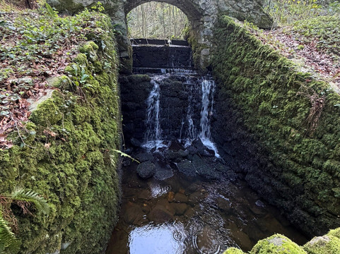 Parc Glynllifon-卡那封必去景点