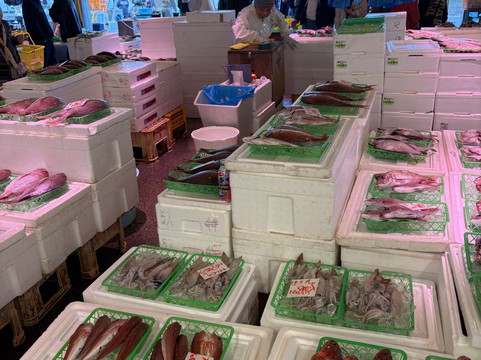 Nakaminato Fish Market-常陆那珂市必去景点