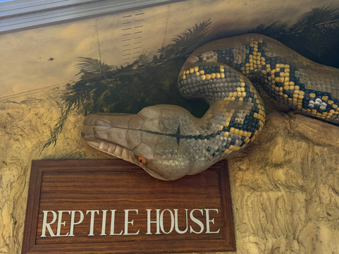 Snakes Downunder Reptile Park-Childers必去景点
