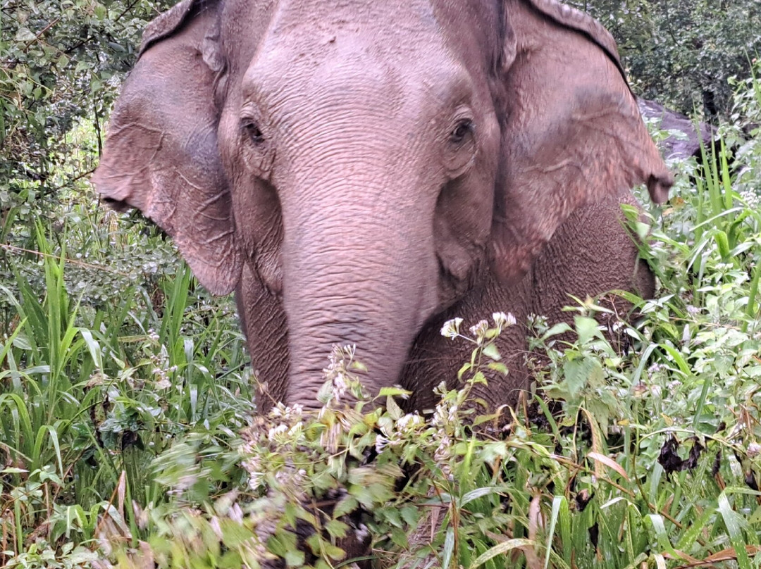 Amith Tours & Travels-班托塔必去景点