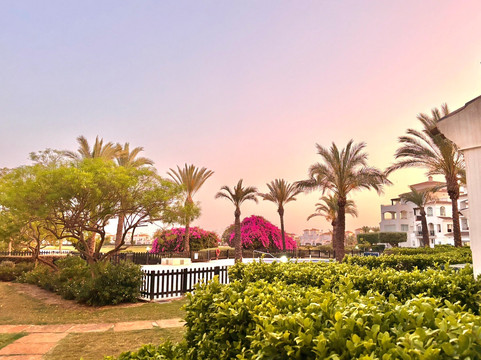 La Torre Golf-Torre-Pacheco必去景点