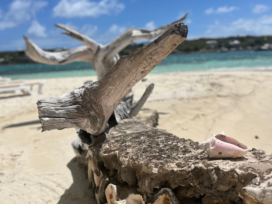 Scilly Cay-Island Harbour必去景点