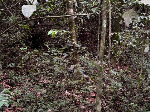 Trilha Do Rio Do Boi-Praia Grande必去景点