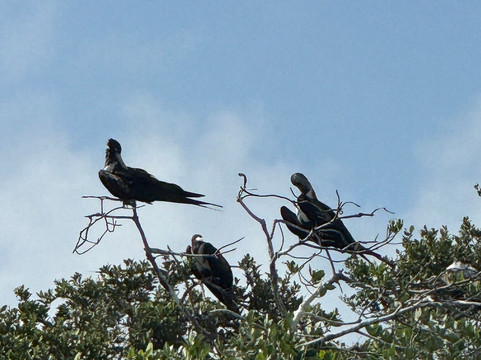 Blue Caribe-艾库玛尔必去景点