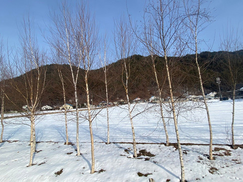 Woljeongsa Temple-平昌郡必去景点
