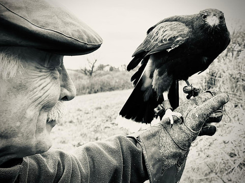 North Devon Hawk Walks-South Molton必去景点