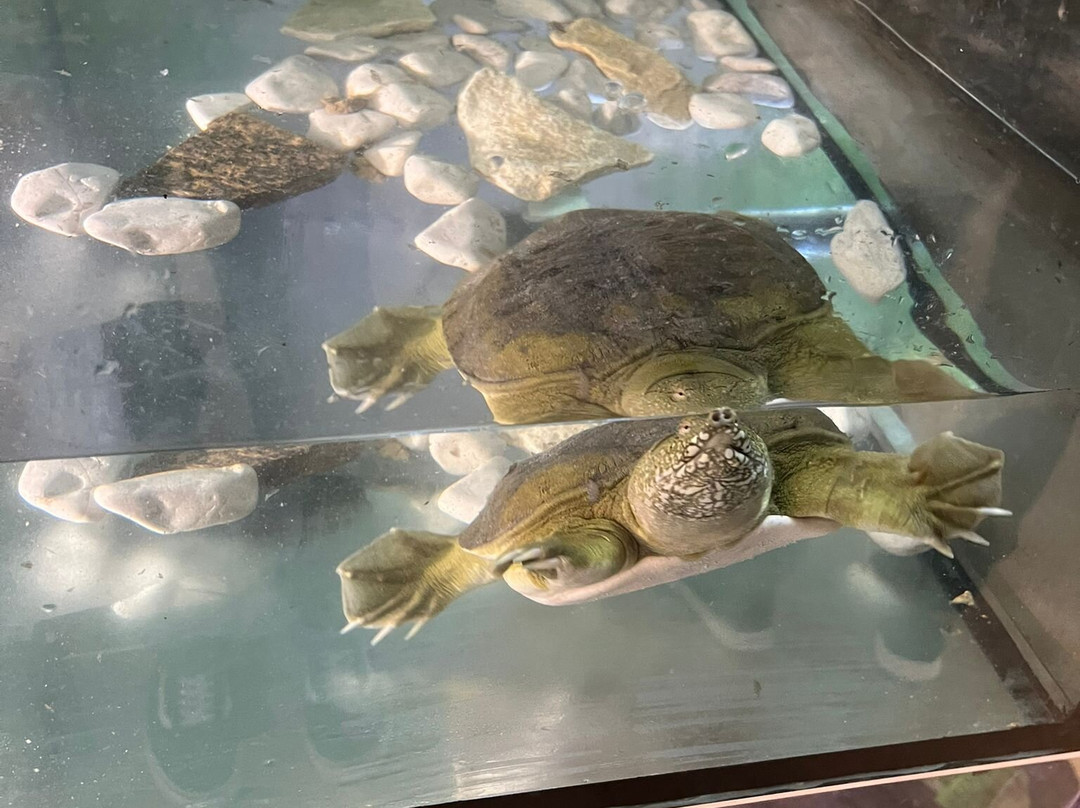 Regional Natural History Museum of Plovdiv-普罗夫迪夫必去景点