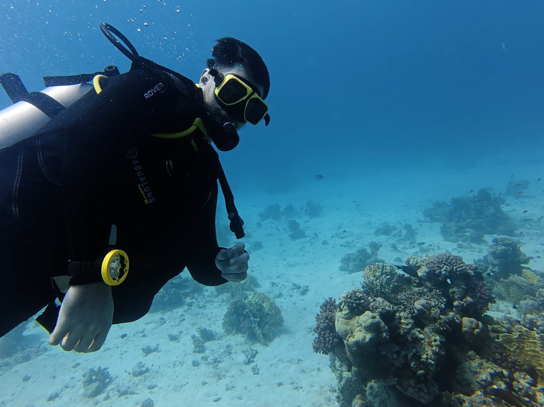 Tauchen Hurghada - Deutsche Tauchschule-赫尔格达必去景点