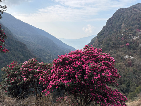 3 Sisters Adventure Trekking-博卡拉必去景点