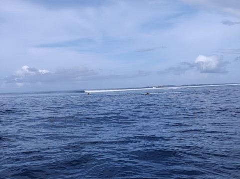 Heremiti Ura Excursion-Vairao必去景点