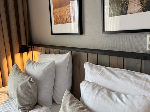 思里珍娜酒店主图