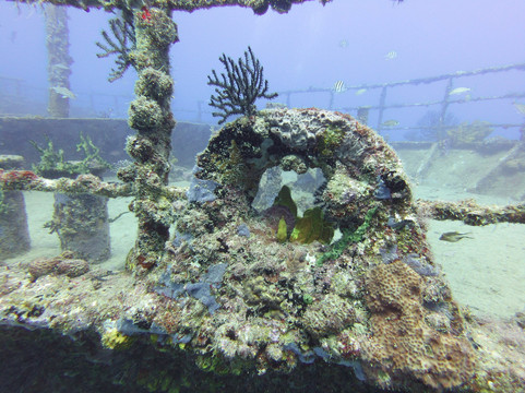 Scubaqua Dive Center-圣尤斯泰希厄斯岛必去景点