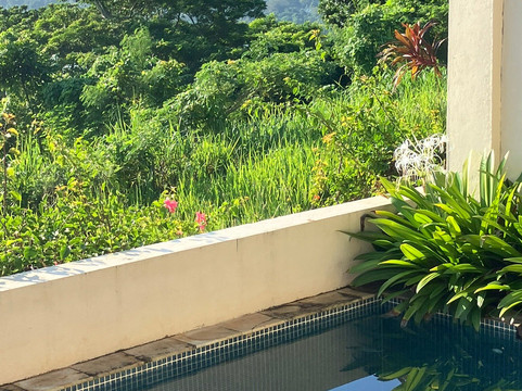 瓦努阿图芒果度假村主图