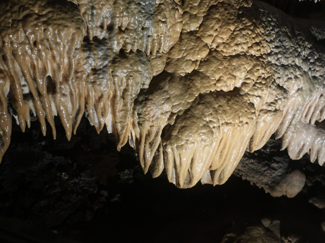 Hoshino Cave-南大东村必去景点