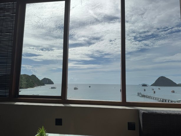 蓝鹦鹉酒店-官方