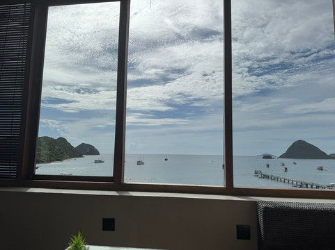 蓝鹦鹉酒店主图