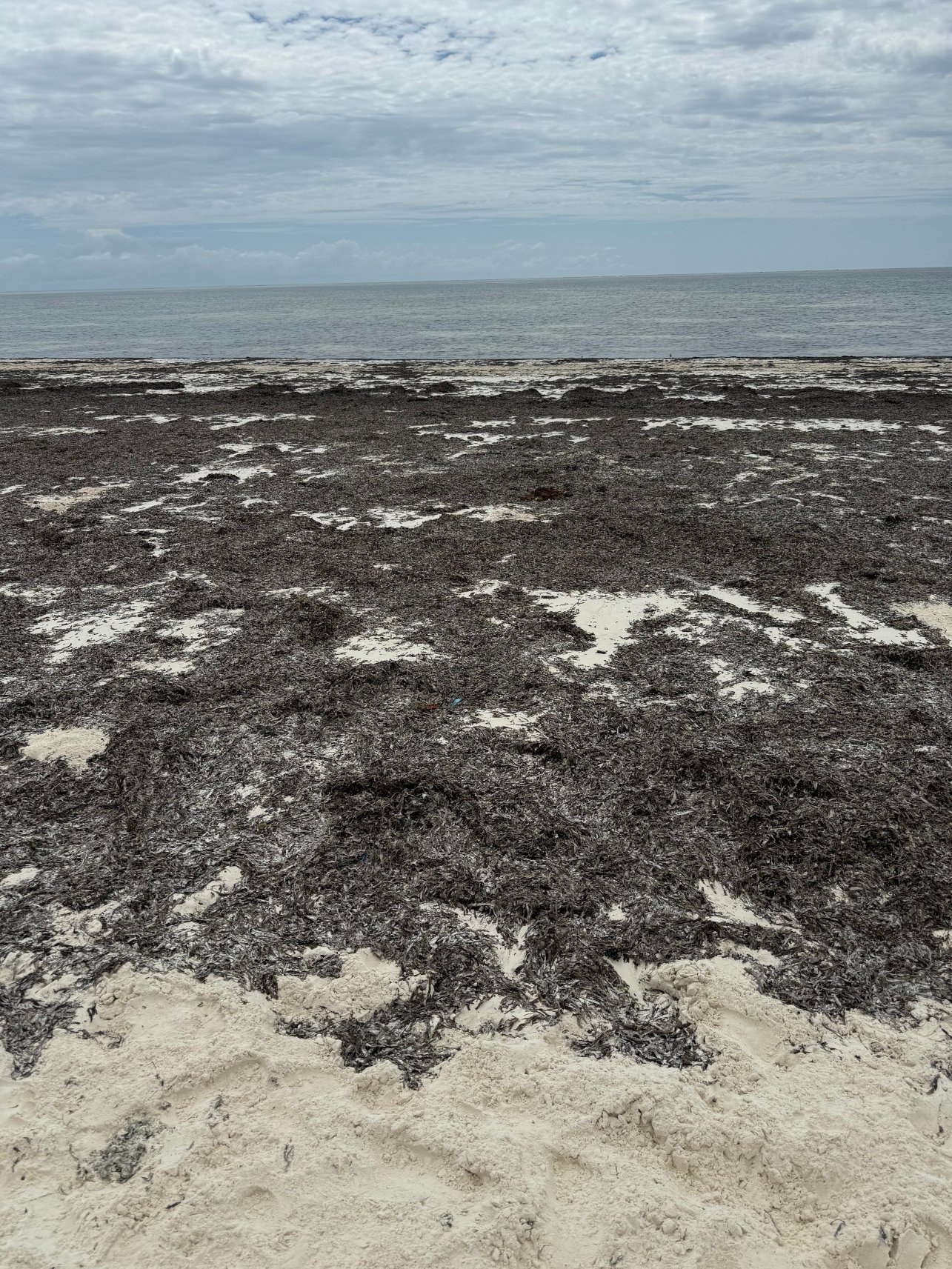 桑给巴尔哈库纳马威海滩小屋-官方