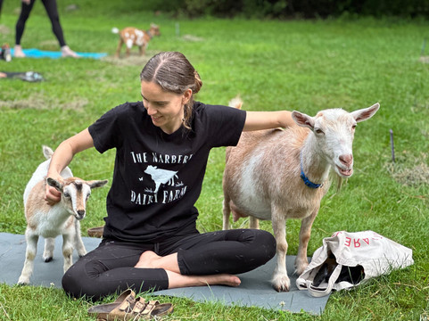Sunflower Farm Creamery-Cumberland Center必去景点