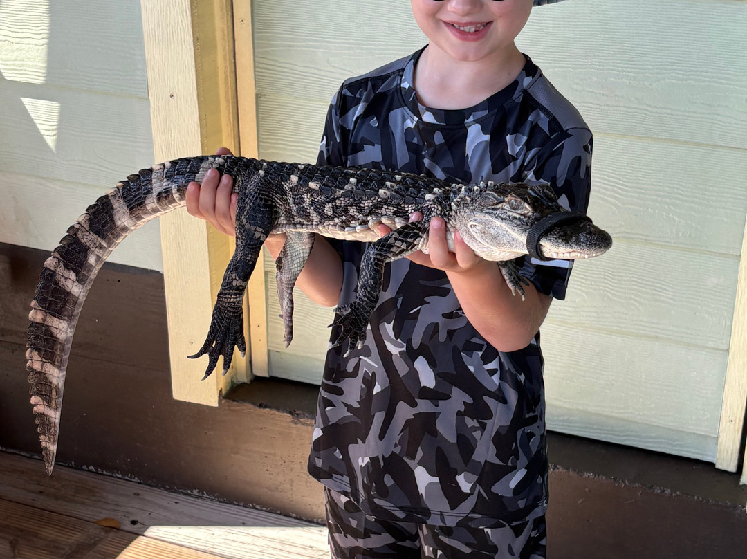 Wild Thang Airboat Tours-巴拿马城海滩必去景点