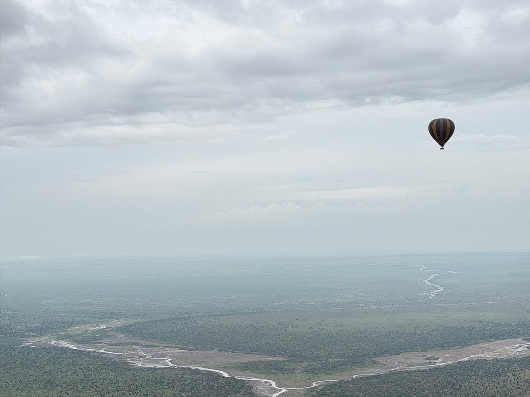 East African Safari And Touring Company-阿鲁沙必去景点