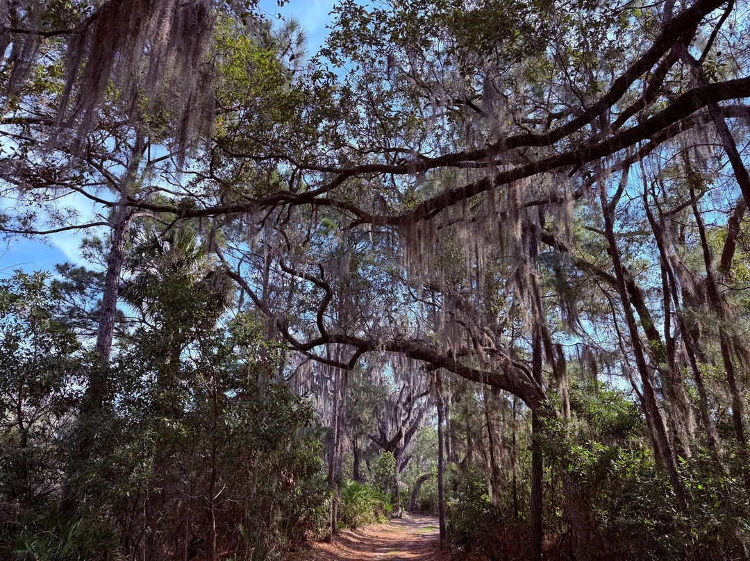 St. Phillips Island Ferry-Saint Helena Island必去景点