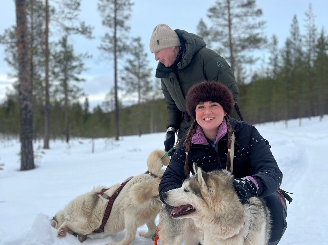 Ilonka Farm & Cafe-伊瓦洛必去景点