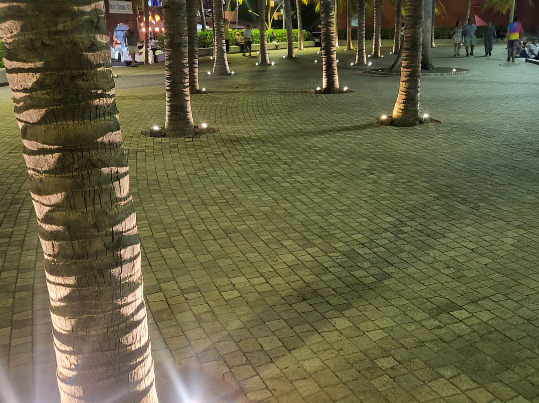 Playa Principal (Playa del Puerto)-芝华塔尼欧必去景点